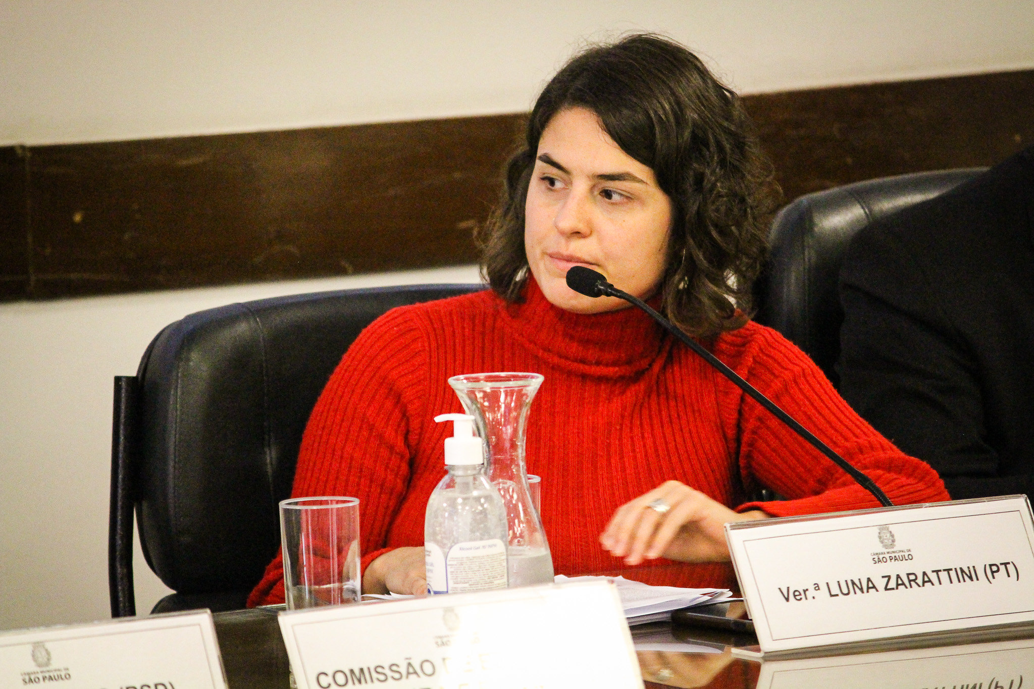 A vereadora Luna Zarattini (PT) é uma das coautoras do projeto que cria o Circuito Municipal de Cultura, para democratizar o acesso à cultura