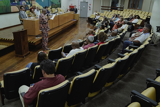 Vereadora Luna Zarattini (PT) presidiu a audiência e afirmou que é importante cobrar o Poder Executivo para que implementem essa lei