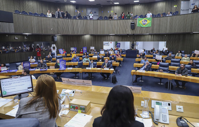 Vereadora Luna Zarattini critica falas retrógradas de representantes do CFM e CREMESP em reunião sobre aborto legal