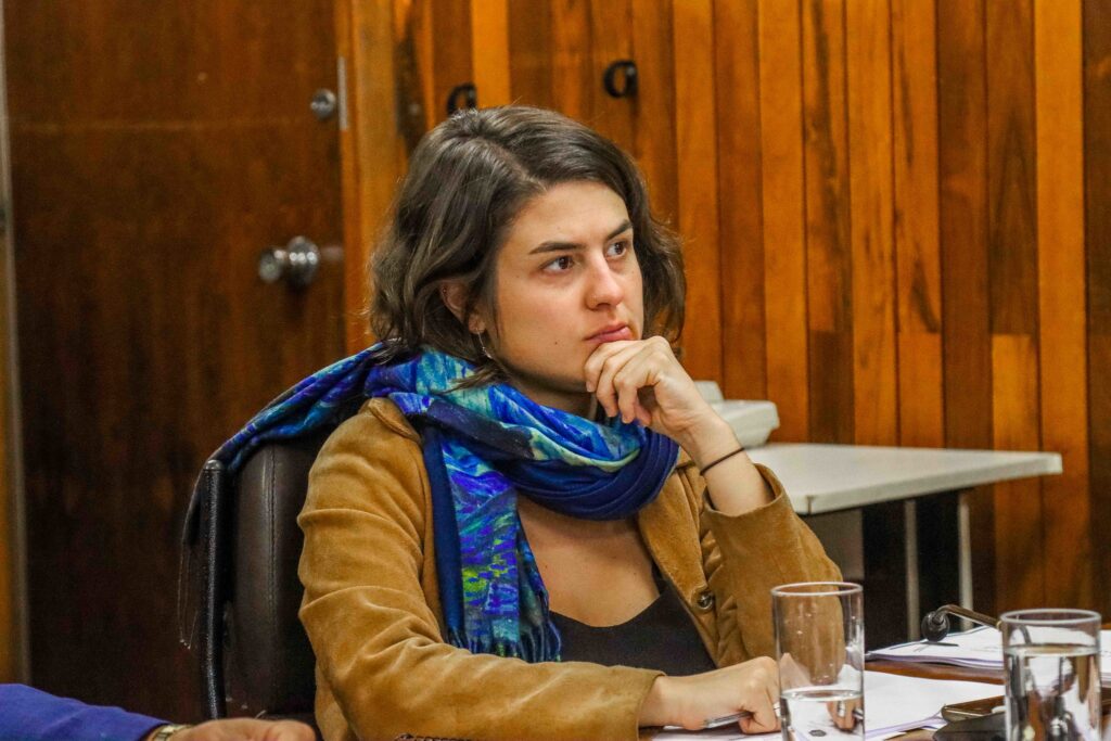 Requerimento da vereadora Luna Zarattini (PT) solicita informações sobre o andamento dos trabalhos nos 12 novos CEUs