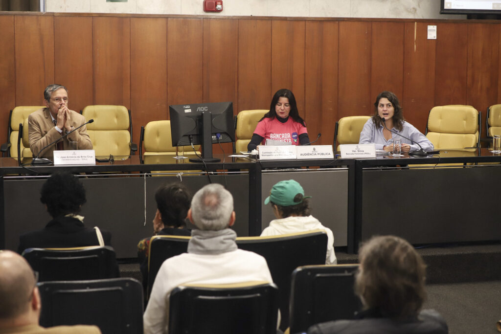 A Comissão de Política Urbana voltou a discutira criação do Parque Municipal do Bixiga em um terreno ao lado do Teatro Oficina.